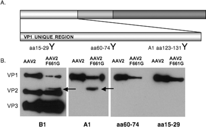 FIG. 9.