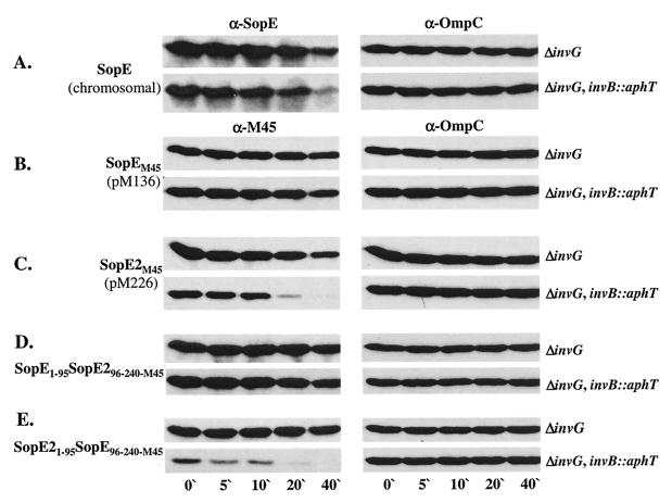 FIG. 8.