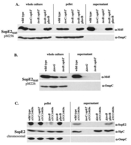 FIG. 7.