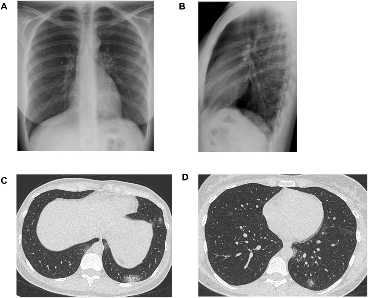 Figure 2