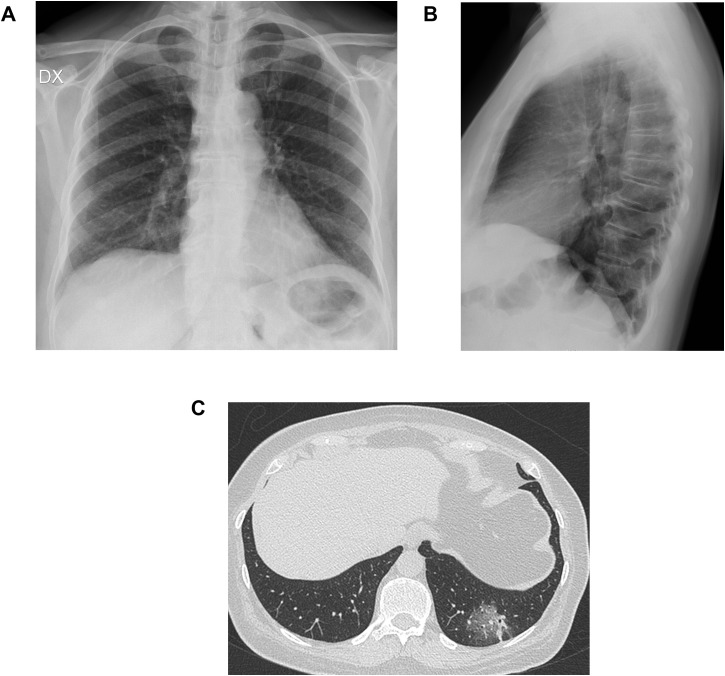 Figure 4