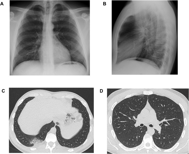 Figure 1