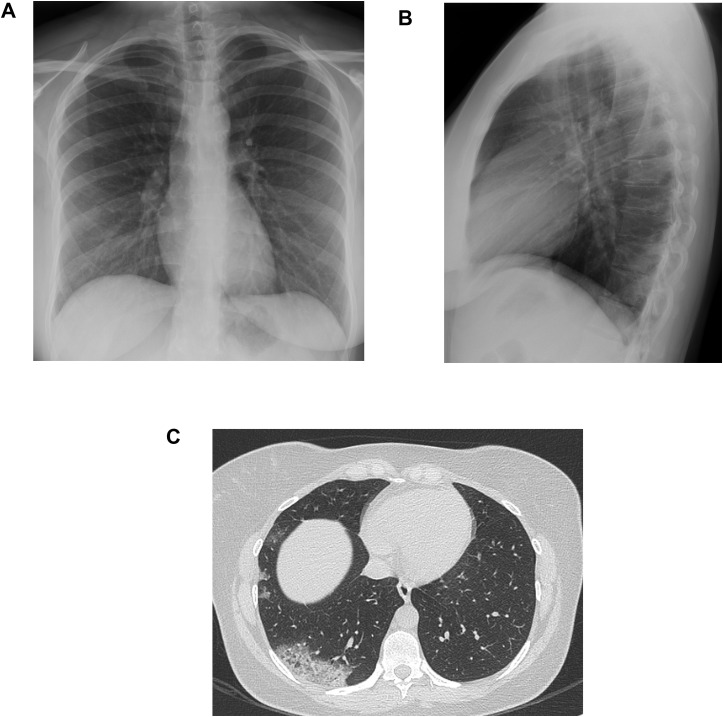 Figure 3