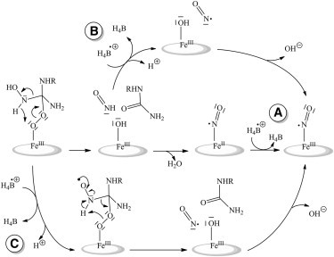 Scheme 3