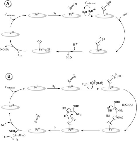 Scheme 2