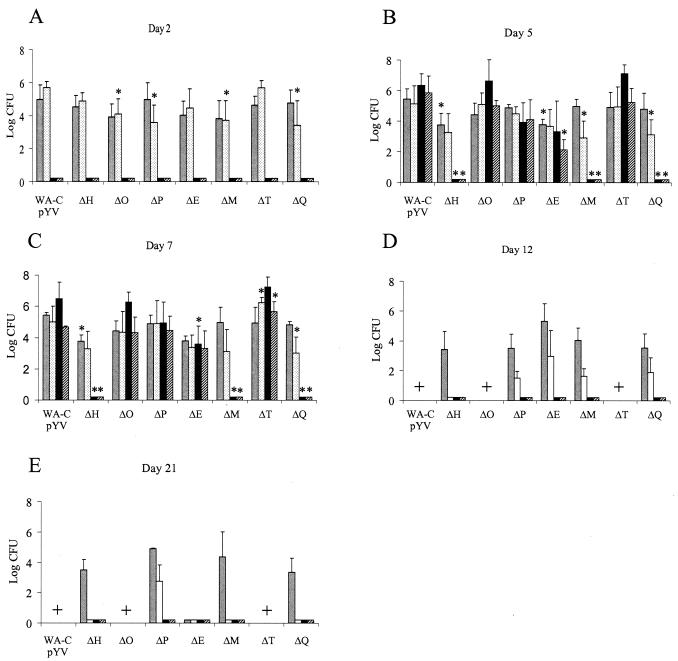 FIG. 2.