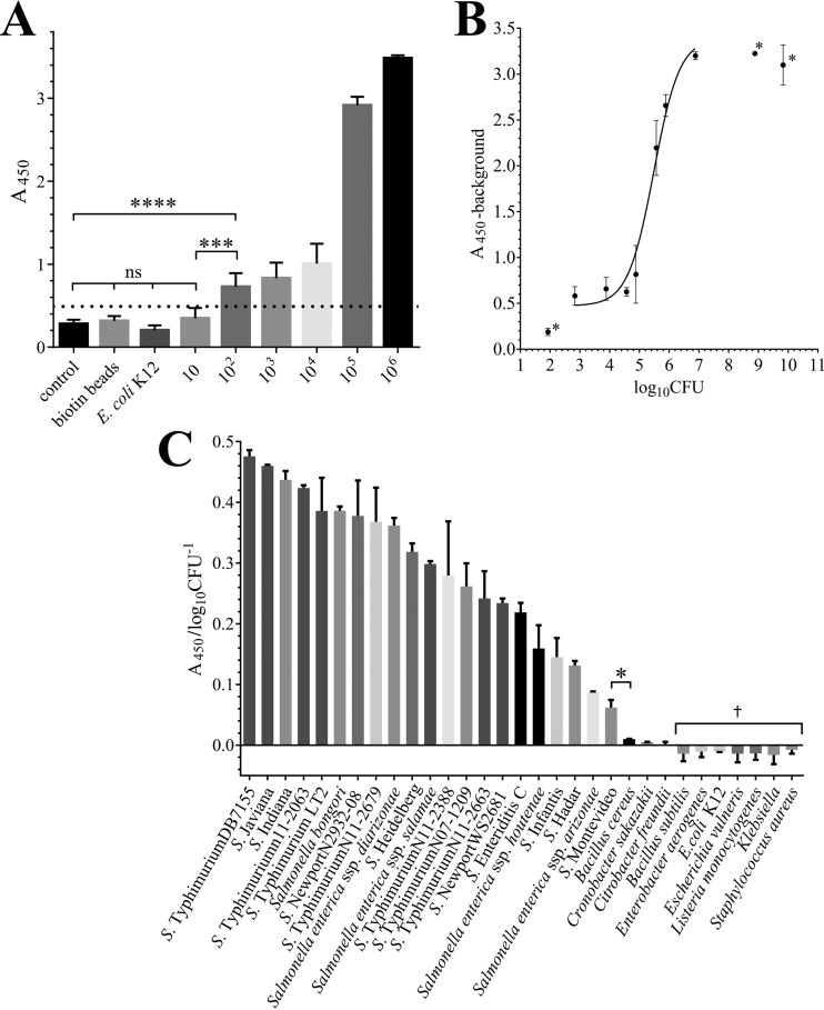 FIG 4