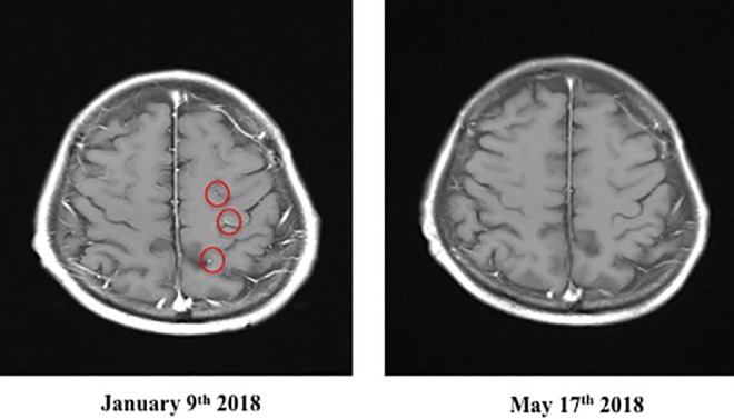 Figure 4.