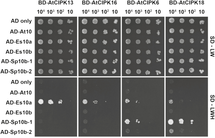 Fig. 8.