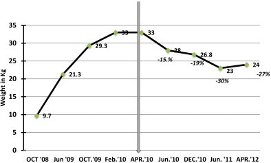 Fig. 2