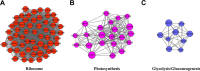 Fig. 5.