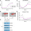 FIG 10