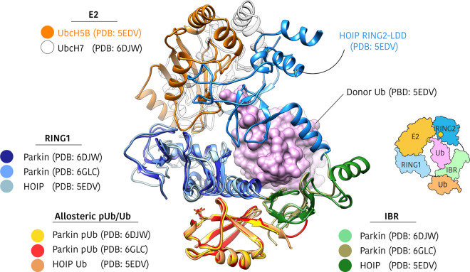 Figure 5.