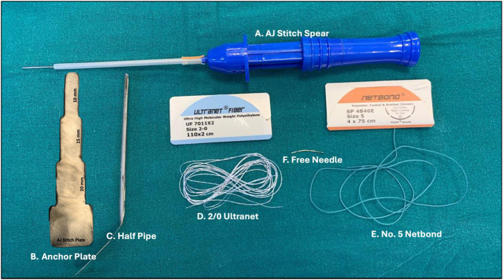 Fig 2