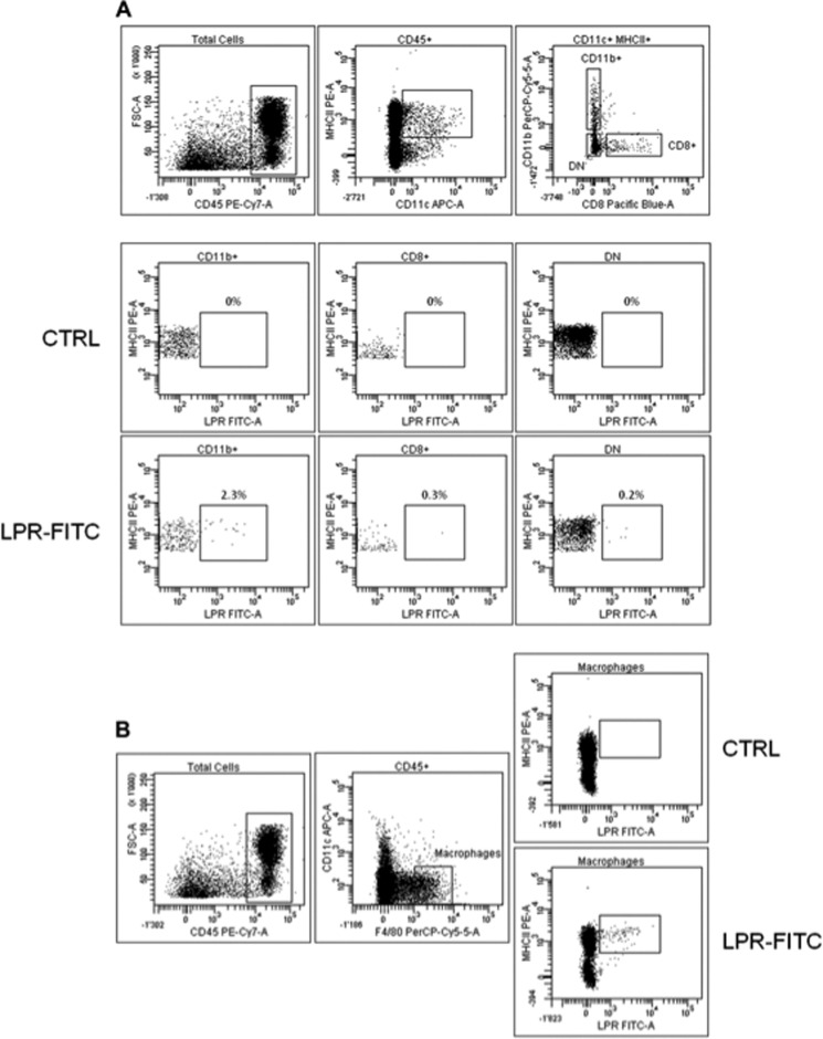 FIGURE 6.