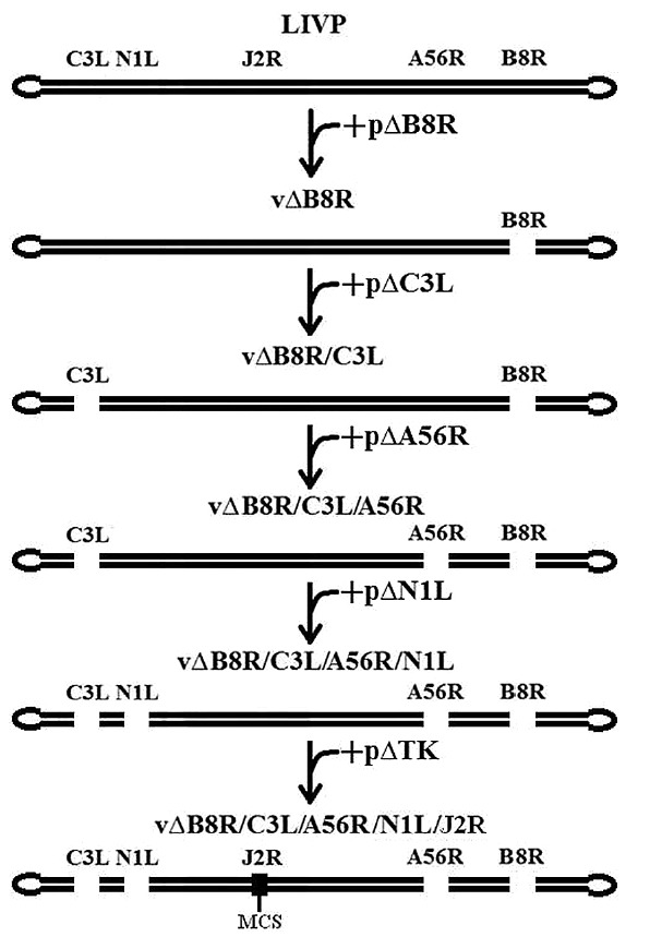 Fig. 3