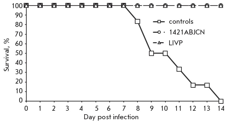 Fig. 8