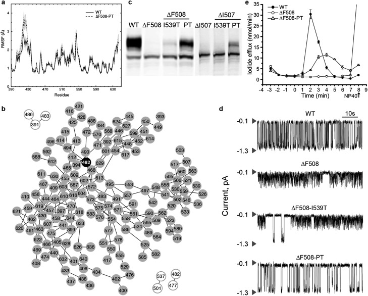 Fig. 4