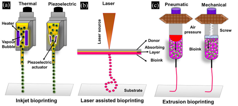 Figure 3.