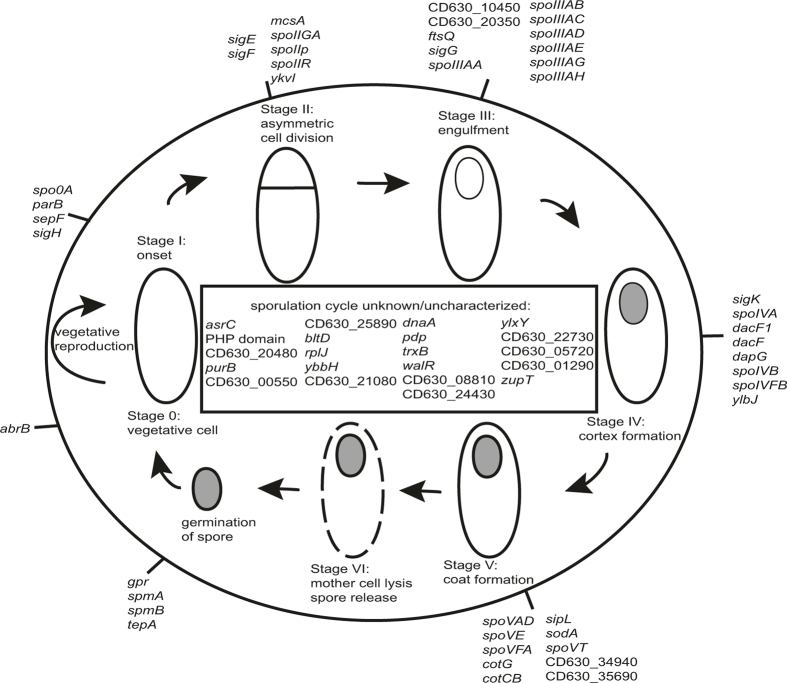 Extended Data Figure 5