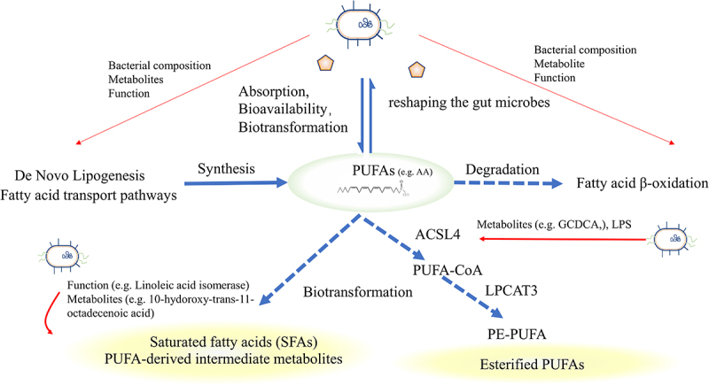 Figure 4.