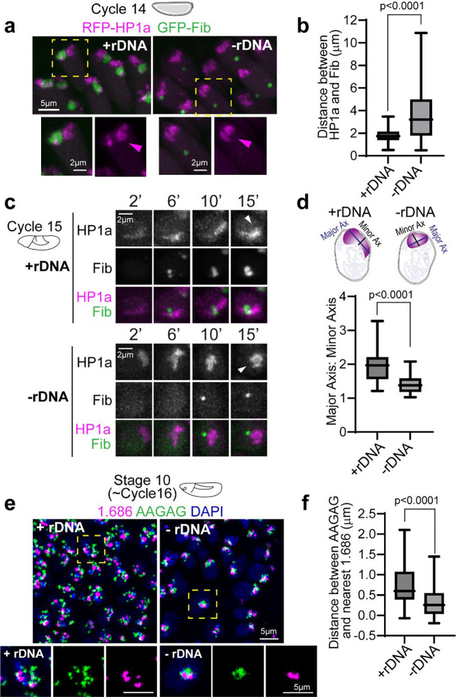 Fig. 2: