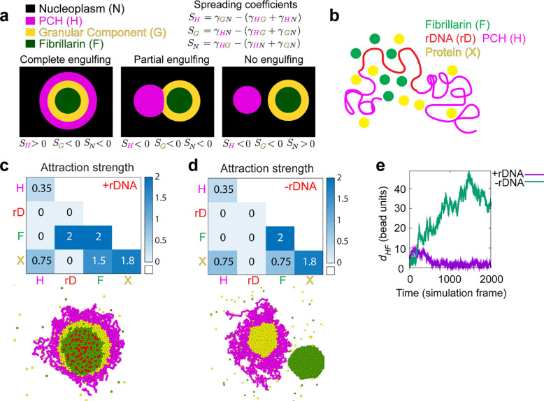 Fig. 4: