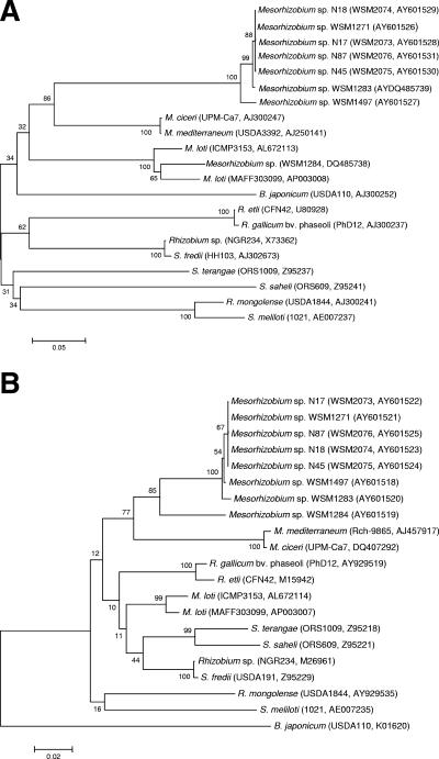 FIG. 1.