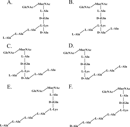 FIG. 5.