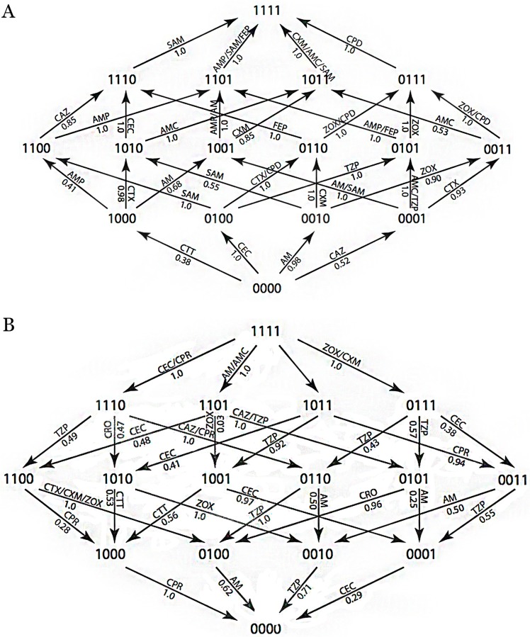 Fig 16