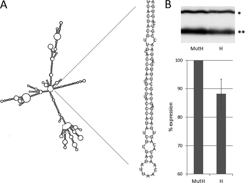 FIG 6