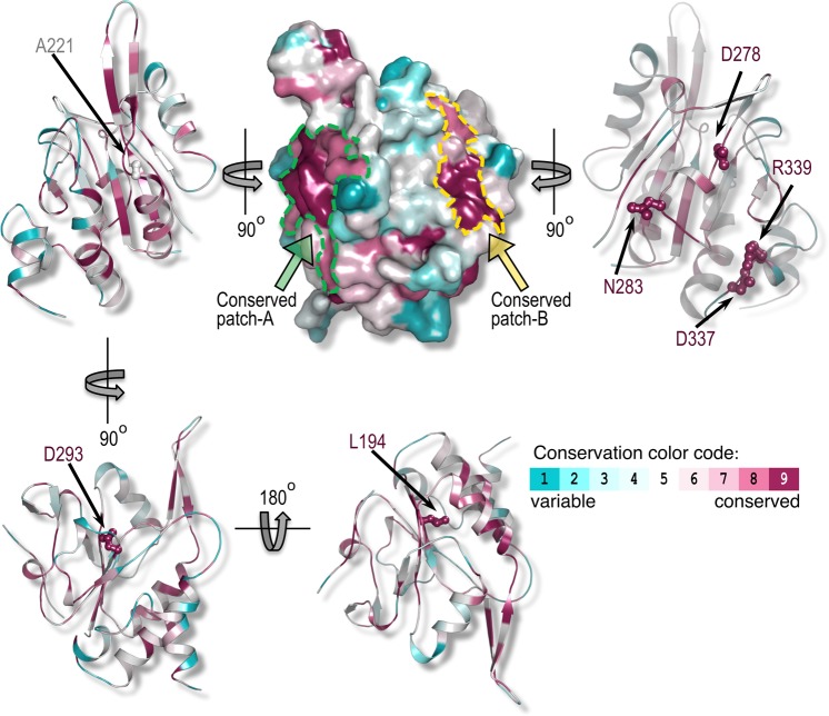 Figure 2