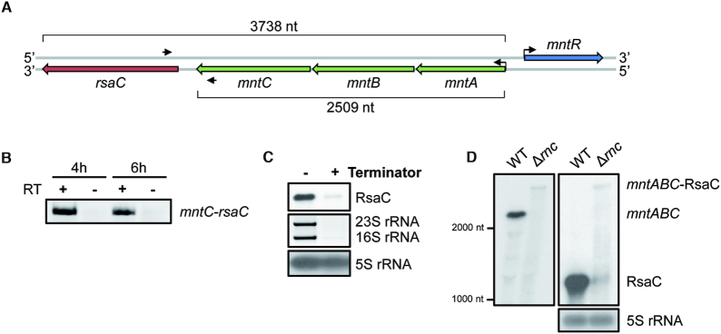 Figure 4.