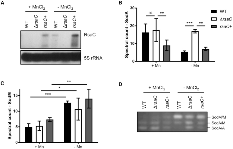 Figure 5.