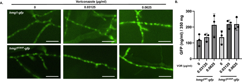 Fig. 10