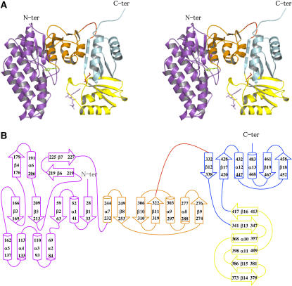 Figure 2.