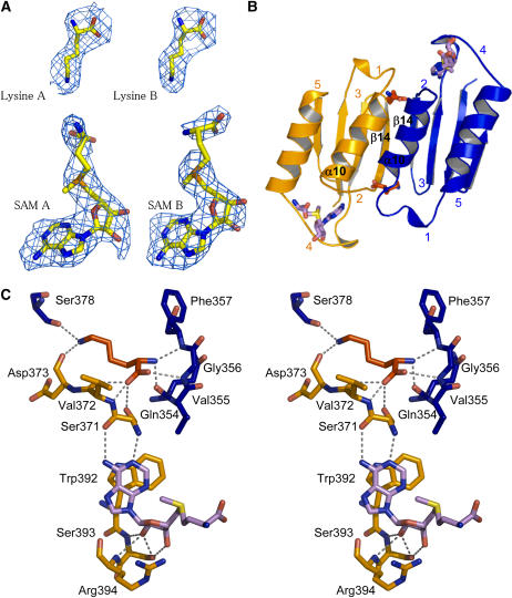 Figure 3.