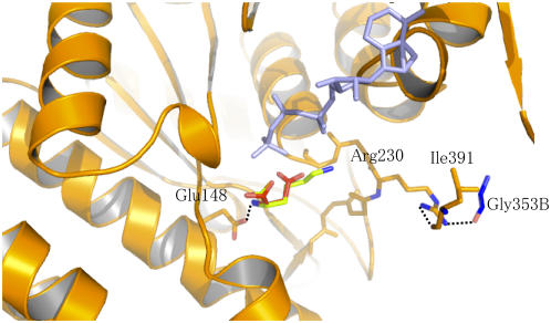 Figure 7.