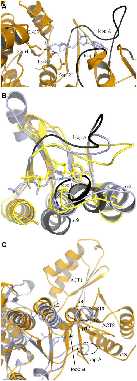 Figure 6.