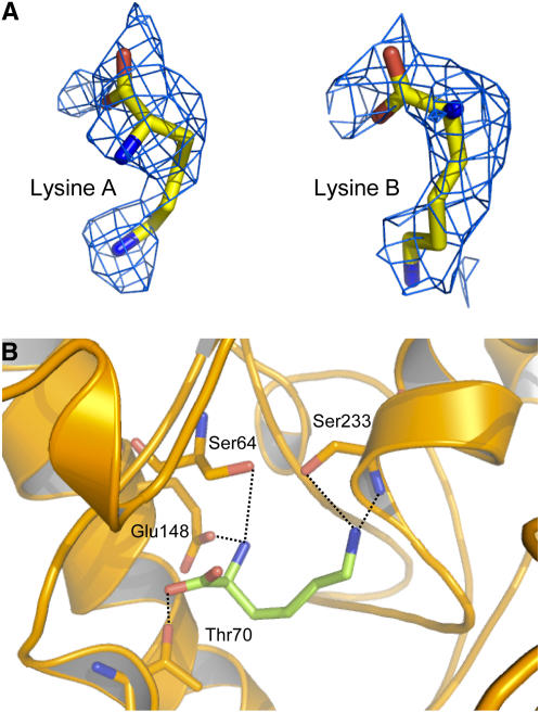 Figure 4.