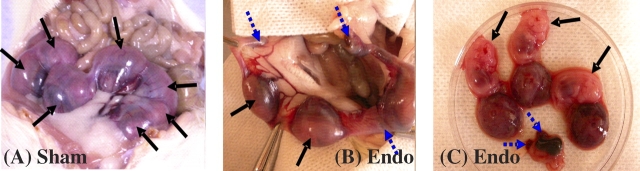 FIG. 5.