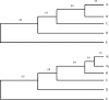 F<sc>IGURE</sc> 1.