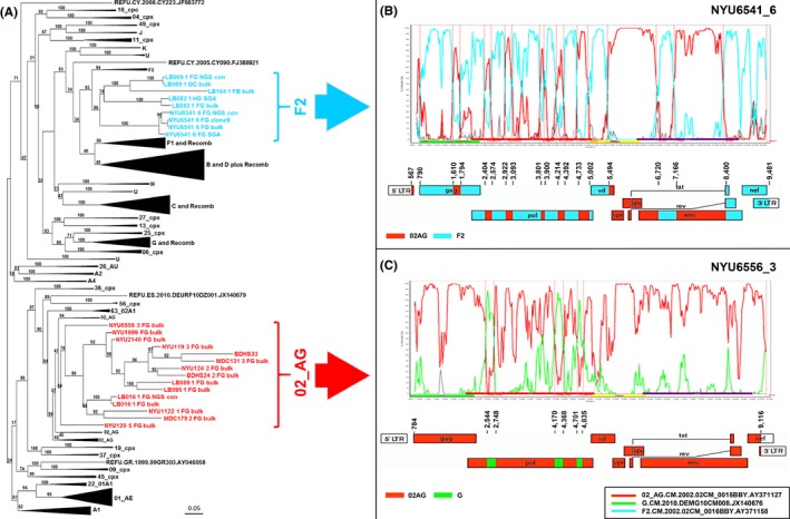 Figure 2