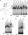 Fig. 3.