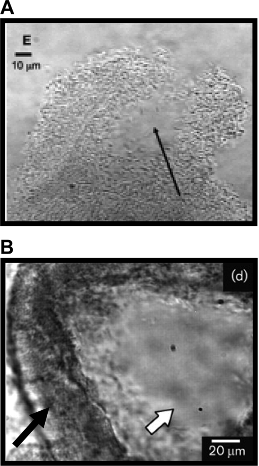 FIG. 13.