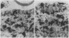196