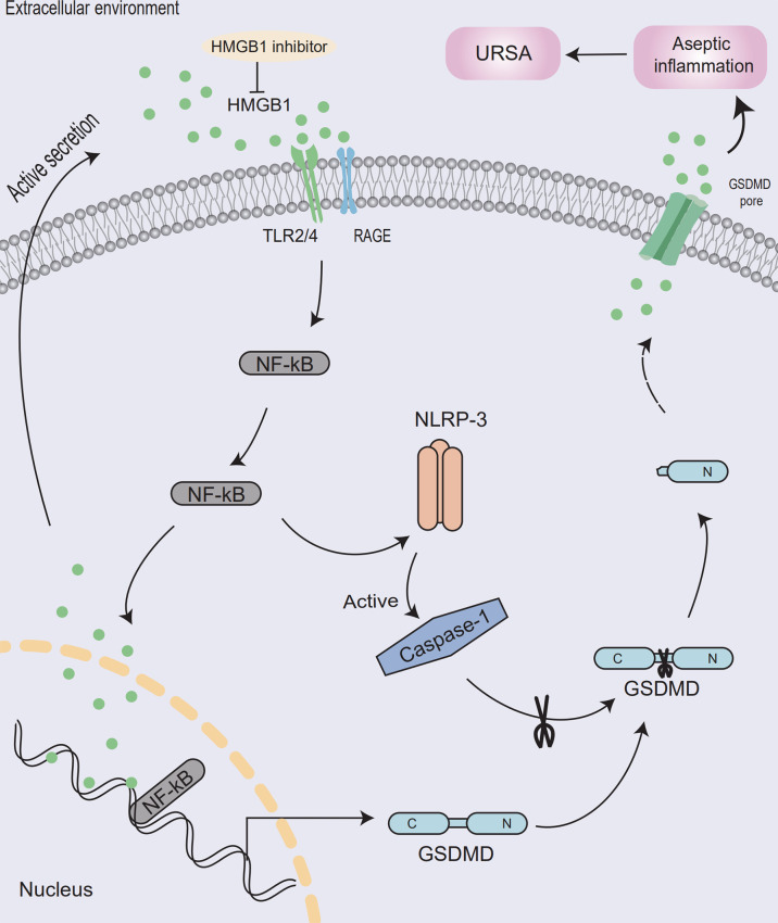 Figure 7