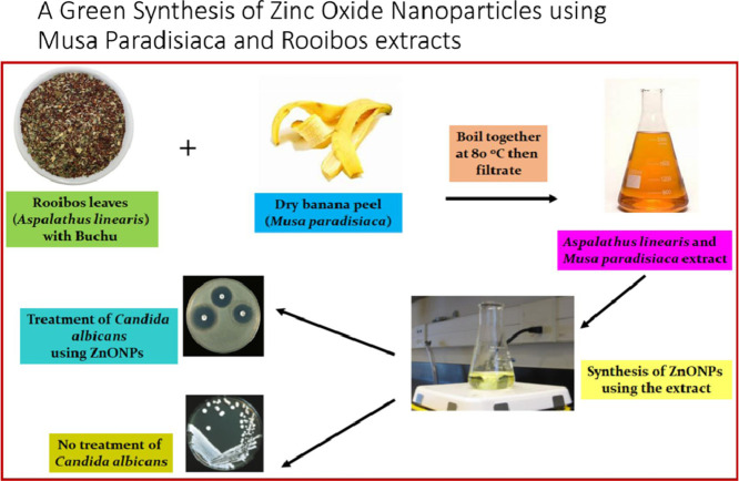 Image, graphical abstract