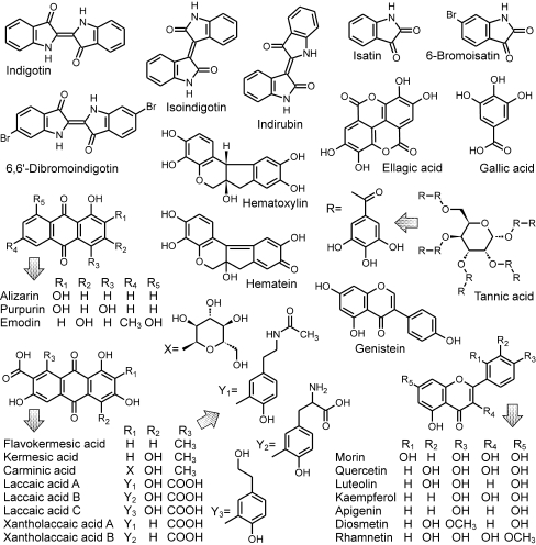 Fig. 1