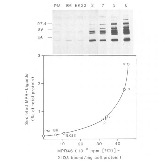 Fig.5